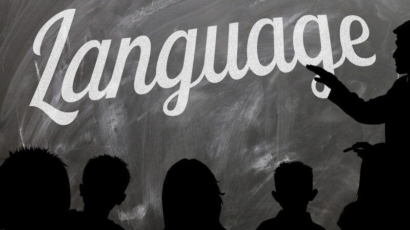 Se znalostí cizích jazyků můžete mít úspěšnější kariéru i jednodušší život
